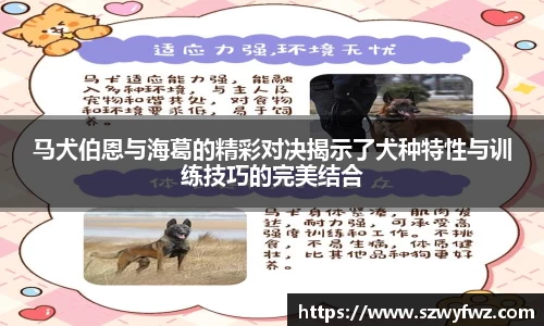 雷火电竞