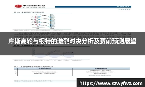 雷火电竞亚洲官网